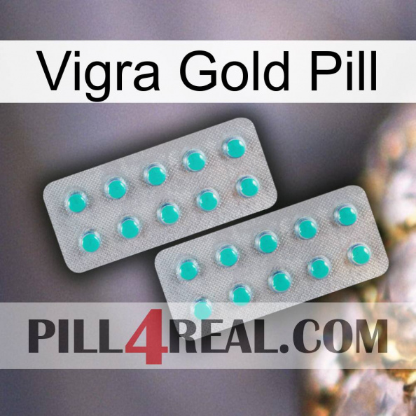 Vigra Gold Pill 29.jpg